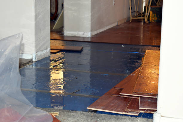 Professional Water Extraction technician working in New Haven, MI