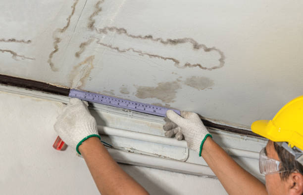 Reliable Water Extraction contractor in New Haven, MI by Water Damage Irwin